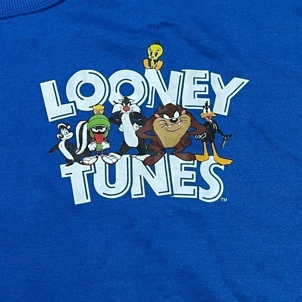 Looney Tunes Royal Blue Pullover Men’s  (Sz 2X)